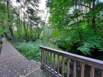 Unikat am Naturschutzgebiet! Ruhig, Hell und Top Anbindung! - Natur Pur in Ruhiger Lage