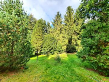 Unikat am Naturschutzgebiet! Ruhig, Hell und Top Anbindung! - Natur Pur in Ruhiger Lage