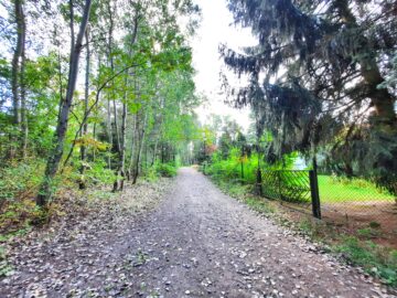 Unikat am Naturschutzgebiet! Ruhig, Hell und Top Anbindung! - Natur Pur in Ruhiger Lage