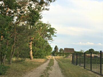 Top-Bauland - 500 m zur Havel - Wander- und Joggingweg vor der Haustür